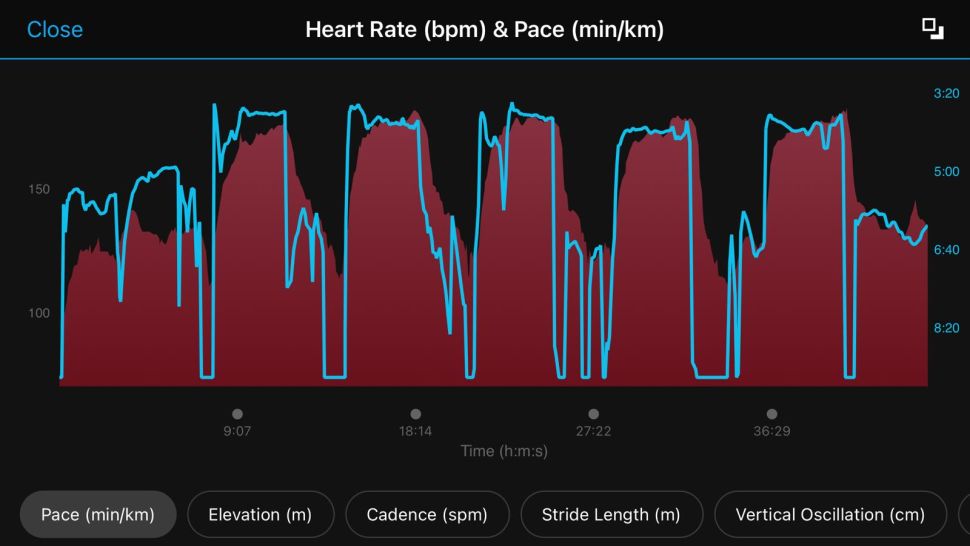 garmin hrm tri running dynamics