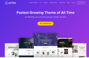 Astra wordpress theme